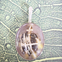 Agate Turtle Pendant